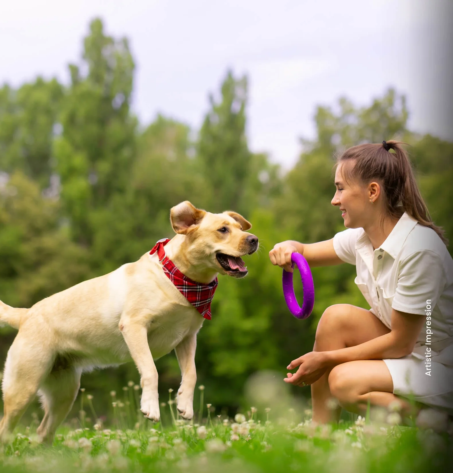 Pet Parks